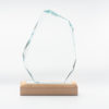 Trophée iceberg verre et bois