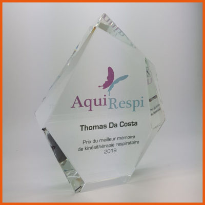 Trophée prestige cristal optique et impression numérique couleur V105